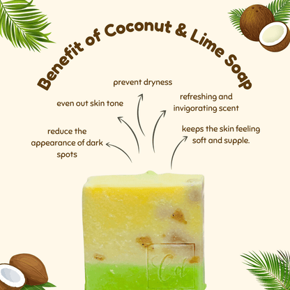 Benefit of coconut and lime soap, made with high quality Coconut oil & Shea butter. Handmade in Australia